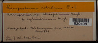 Image Associated With the Occurence